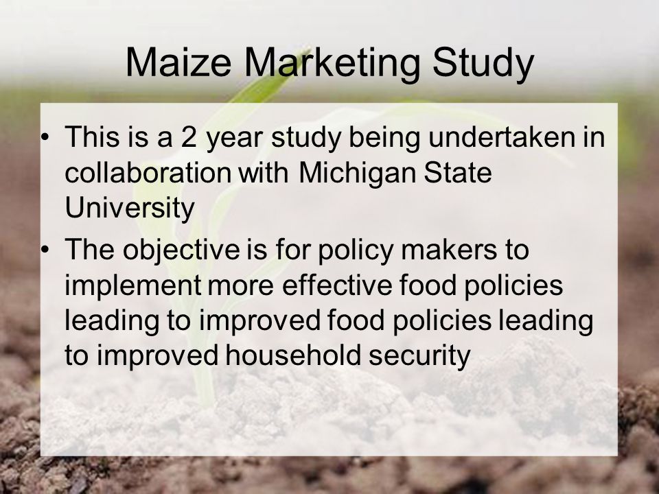 Maize Marketing Study This is a 2 year study being undertaken in collaboration with Michigan State University The objective is for policy makers to implement more effective food policies leading to improved food policies leading to improved household security