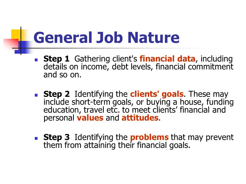 General Job Nature Step 1 Gathering client s financial data, including details on income, debt levels, financial commitment and so on.