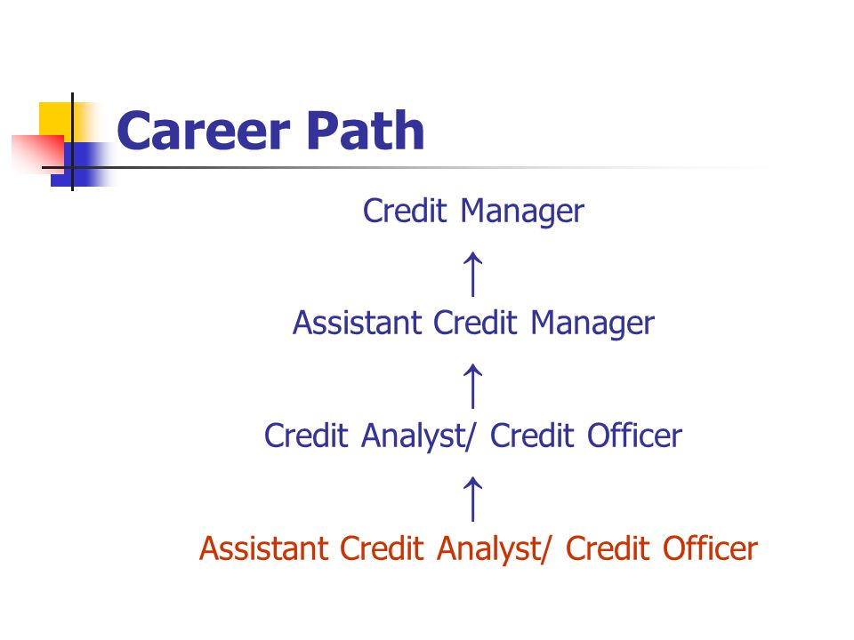 Career Path Credit Manager ↑ Assistant Credit Manager ↑ Credit Analyst/ Credit Officer ↑ Assistant Credit Analyst/ Credit Officer