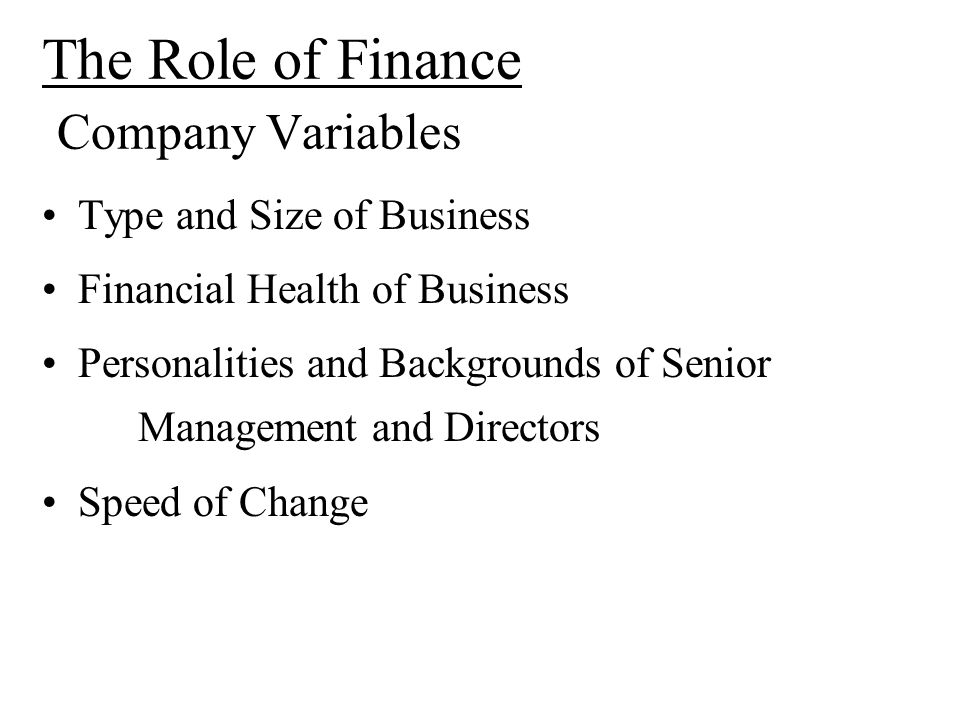 The Role of Finance Company Variables Type and Size of Business Financial Health of Business Personalities and Backgrounds of Senior Management and Directors Speed of Change