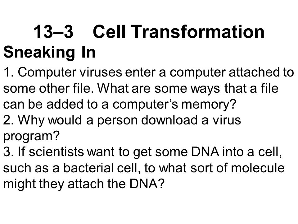 13–3Cell Transformation Sneaking In 1.