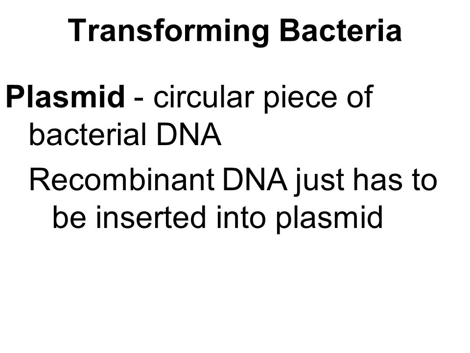 Transforming Bacteria Plasmid - circular piece of bacterial DNA Recombinant DNA just has to be inserted into plasmid