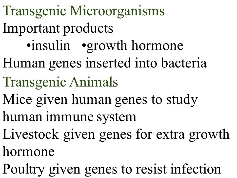 Transgenic Microorganisms Important products insulin growth hormone Human genes inserted into bacteria Transgenic Animals Mice given human genes to study human immune system Livestock given genes for extra growth hormone Poultry given genes to resist infection