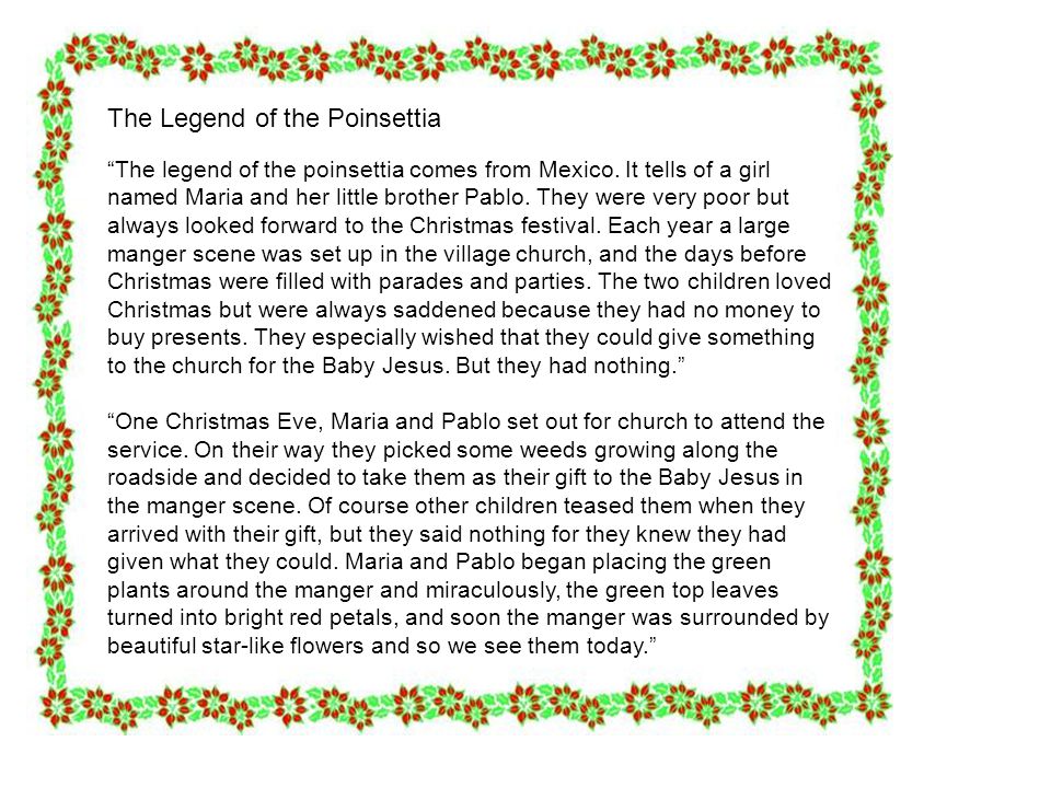 The Legend of the Poinsettia The legend of the poinsettia comes from Mexico.