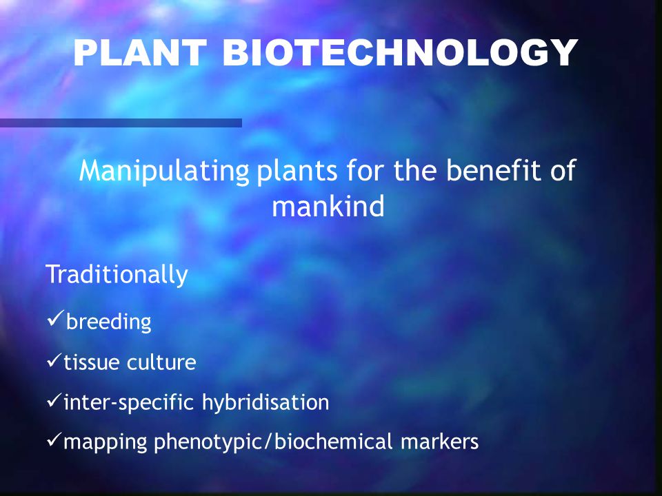 PLANT BIOTECHNOLOGY Manipulating plants for the benefit of mankind Traditionally breeding tissue culture inter-specific hybridisation mapping phenotypic/biochemical markers