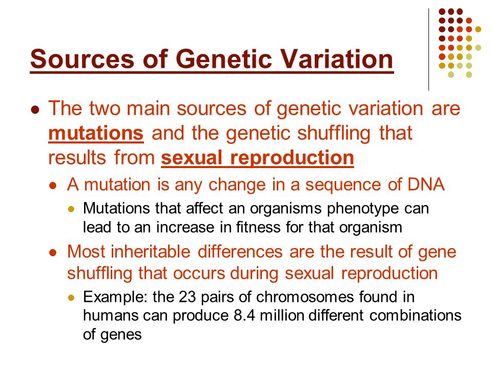 Sample persuasive genetically modified foods essay