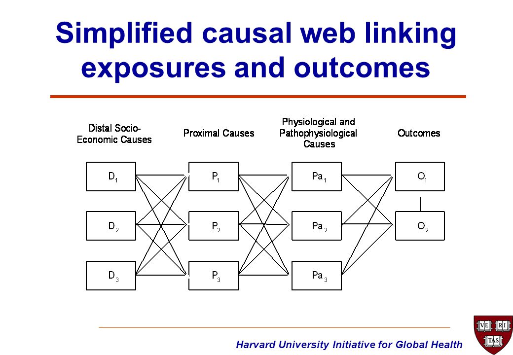Harvard University Initiative for Global Health Simplified causal web linking exposures and outcomes