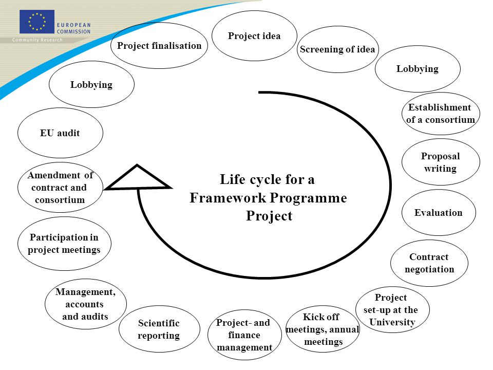 Life cycle for a Framework Programme Project EU audit Management, accounts and audits Project- and finance management Project set-up at the University Contract negotiation Proposal writing Evaluation Amendment of contract and consortium Participation in project meetings Project idea Scientific reporting Project finalisation Establishment of a consortium Lobbying Kick off meetings, annual meetings Screening of idea Lobbying