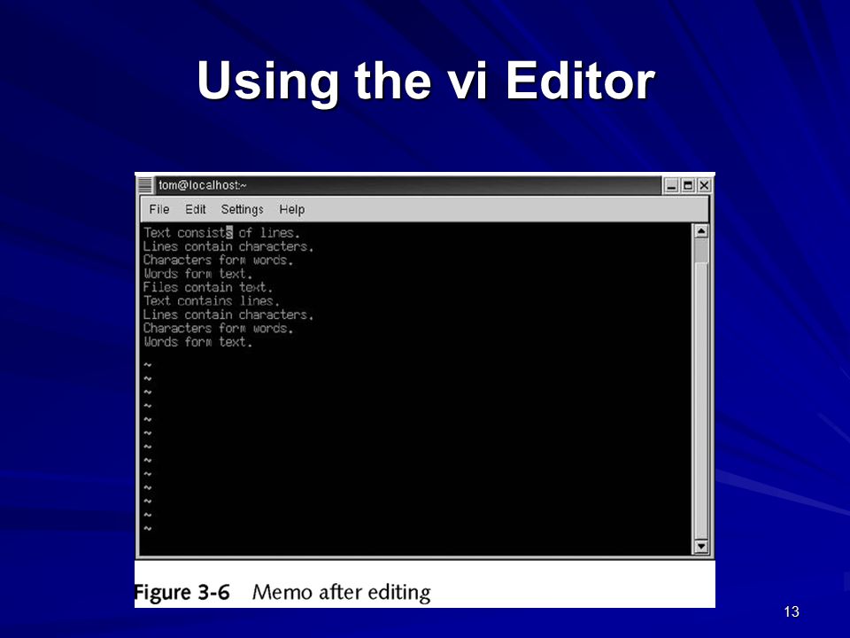 13 Using the vi Editor