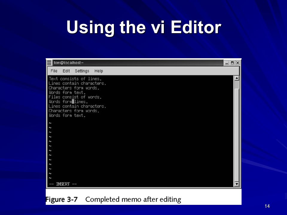 14 Using the vi Editor