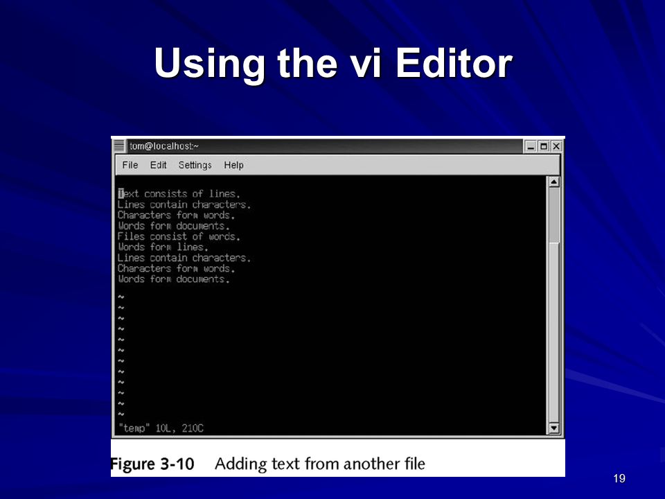 19 Using the vi Editor