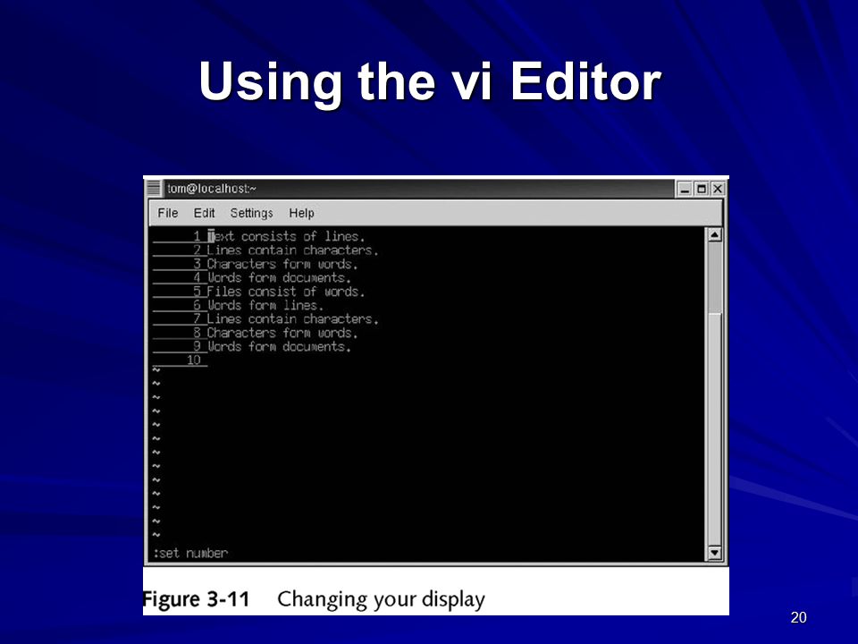 20 Using the vi Editor