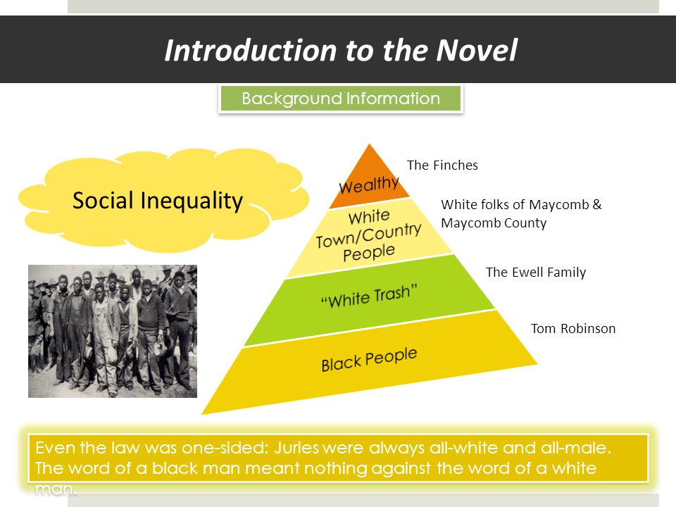 Introduction to the Novel Background Information Social Inequality The Finches White folks of Maycomb & Maycomb County The Ewell Family Tom Robinson Even the law was one-sided: Juries were always all-white and all-male.