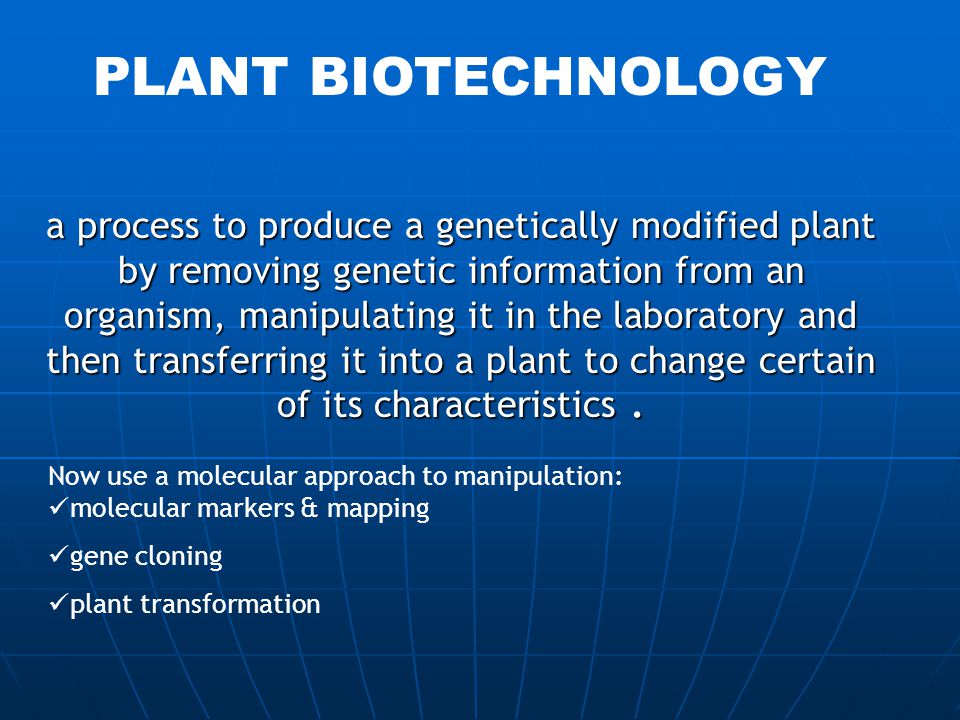 Now use a molecular approach to manipulation: molecular markers & mapping gene cloning plant transformation PLANT BIOTECHNOLOGY a process to produce a genetically modified plant by removing genetic information from an organism, manipulating it in the laboratory and then transferring it into a plant to change certain of its characteristics.