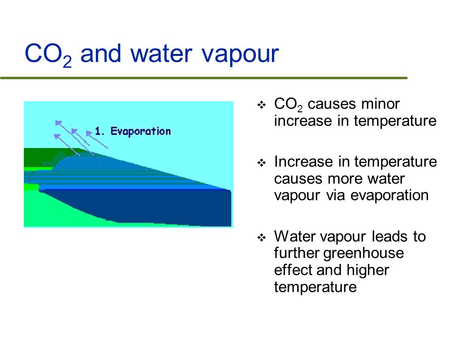 CO 2 and water vapour  CO 2 causes minor increase in temperature  Increase in temperature causes more water vapour via evaporation  Water vapour leads to further greenhouse effect and higher temperature