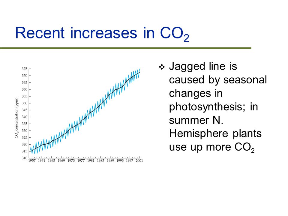 Recent increases in CO 2  Jagged line is caused by seasonal changes in photosynthesis; in summer N.