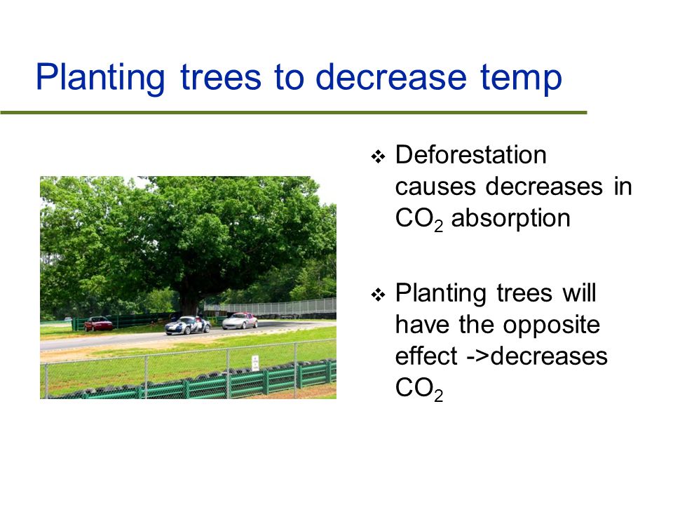 Planting trees to decrease temp  Deforestation causes decreases in CO 2 absorption  Planting trees will have the opposite effect ->decreases CO 2