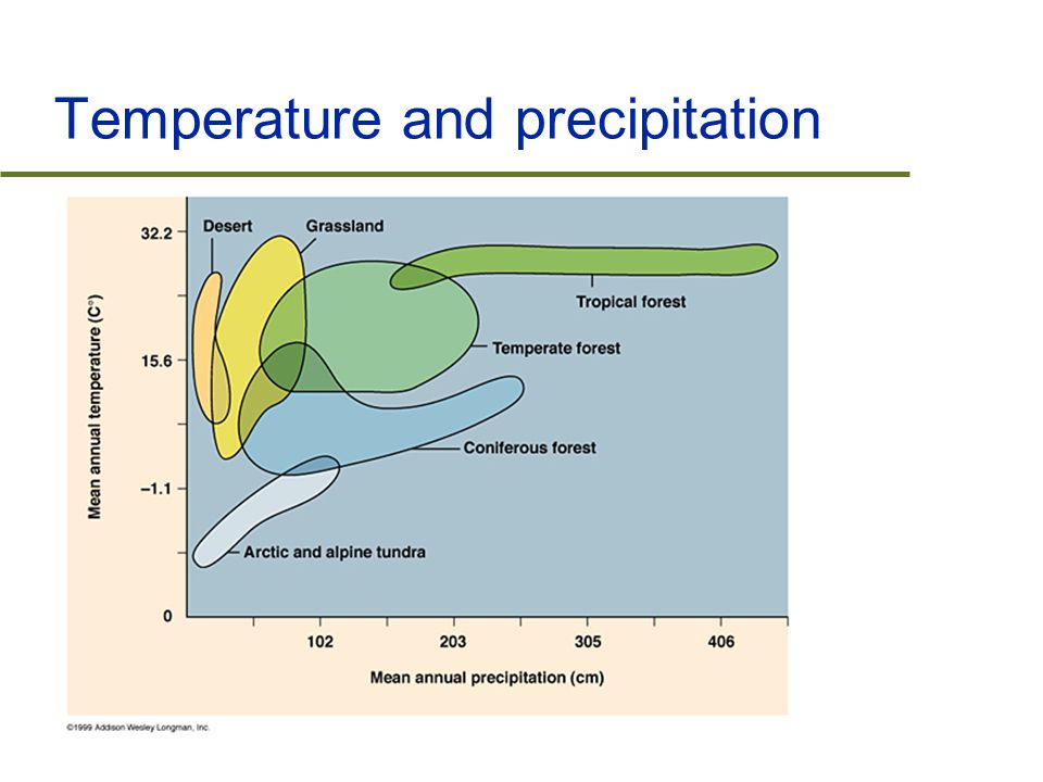 Temperature and precipitation