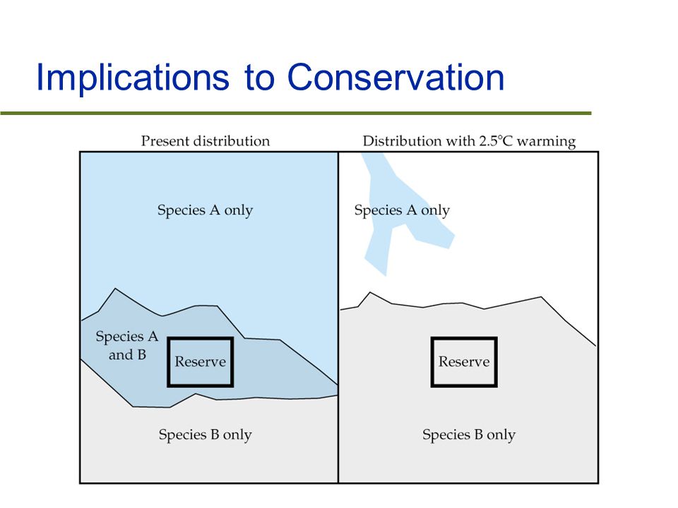 Implications to Conservation