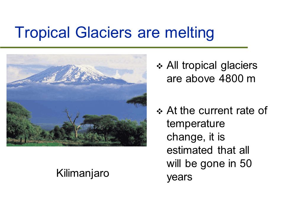 Tropical Glaciers are melting  All tropical glaciers are above 4800 m  At the current rate of temperature change, it is estimated that all will be gone in 50 years Kilimanjaro