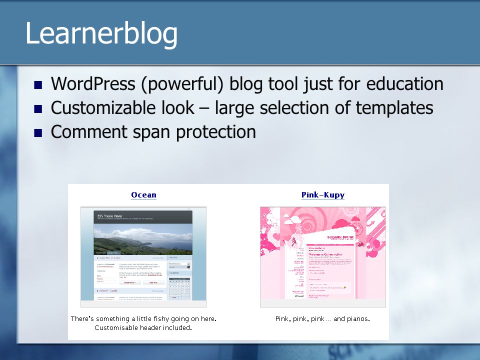 Learnerblog WordPress (powerful) blog tool just for education Customizable look – large selection of templates Comment span protection