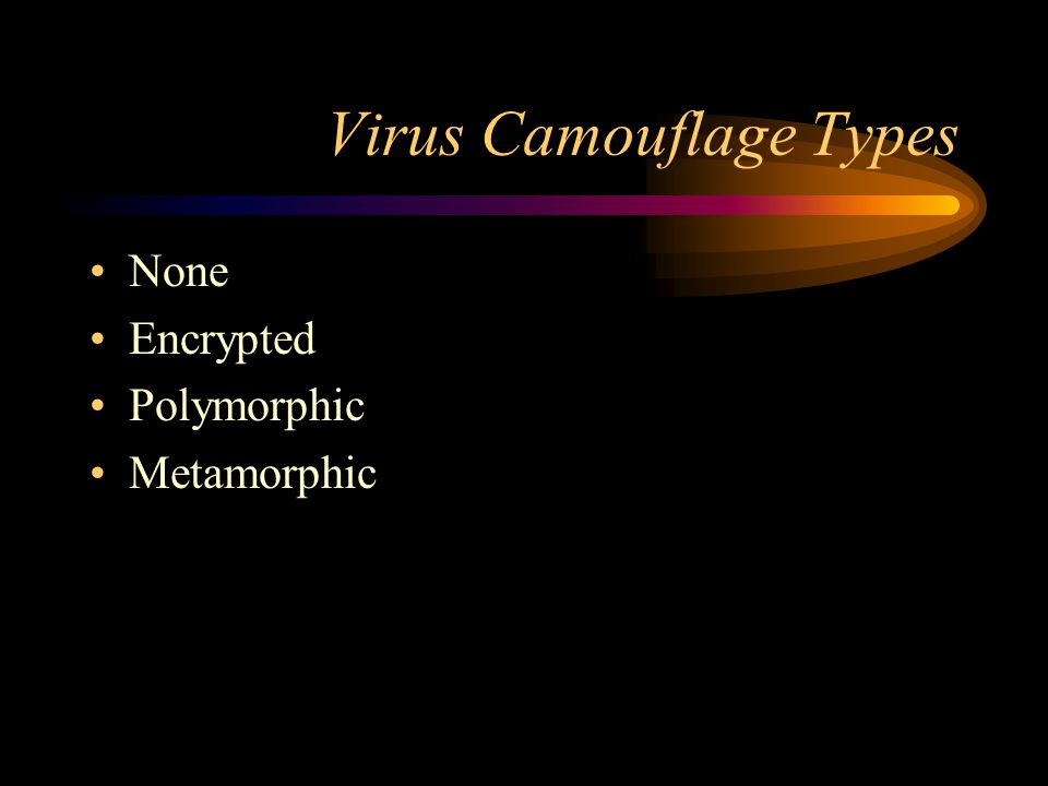 Virus Camouflage Types None Encrypted Polymorphic Metamorphic