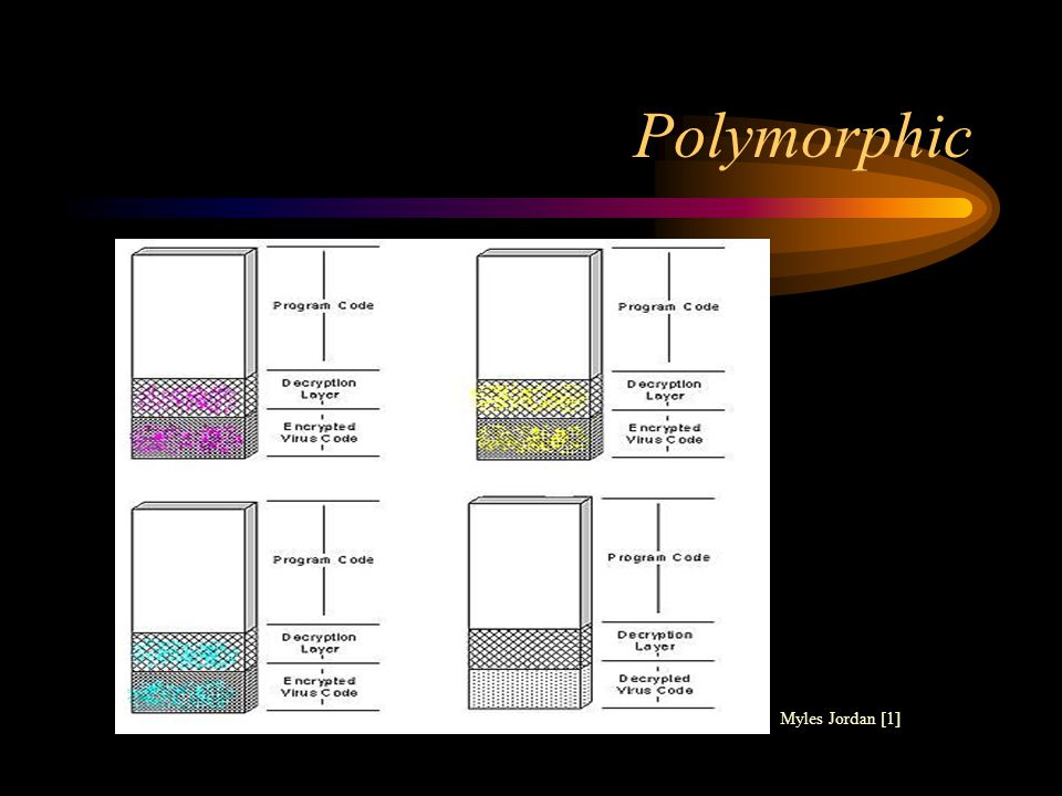 Polymorphic Myles Jordan [1]