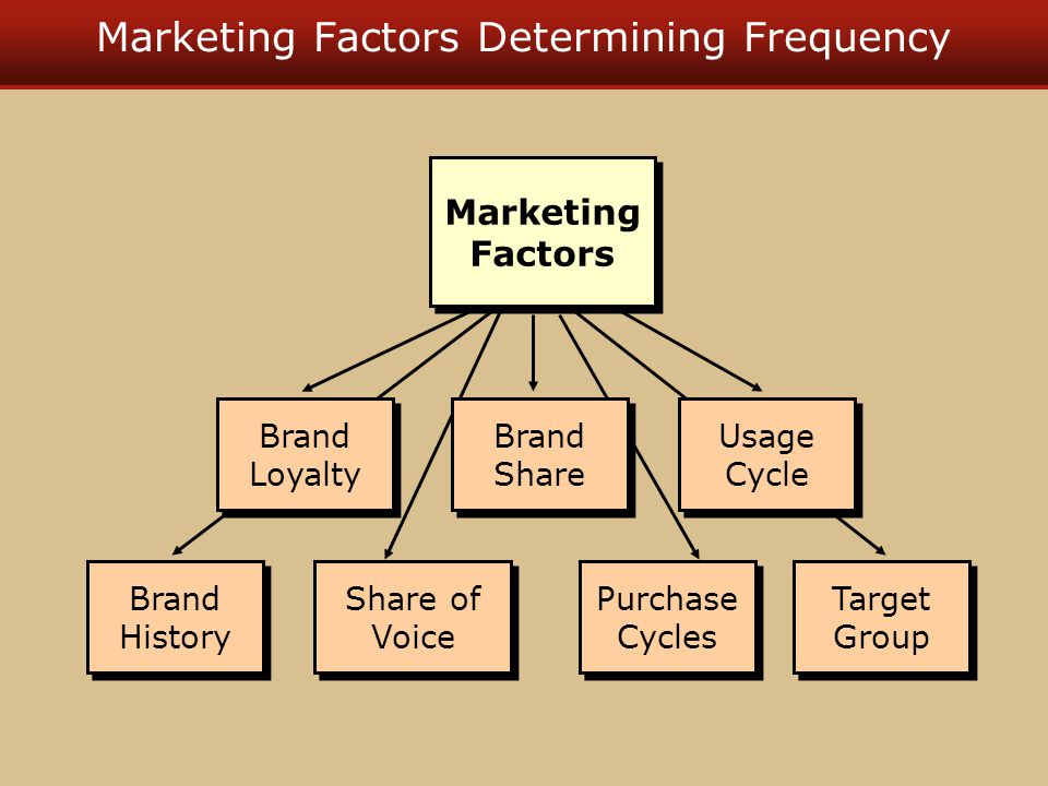 Marketing Factors Determining Frequency Target Group Brand History Share of Voice Purchase Cycles Brand Loyalty Brand Share Usage Cycle Marketing Factors
