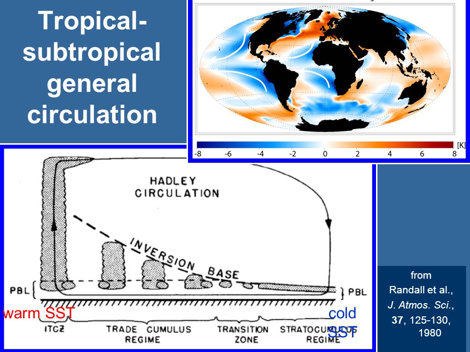 Tropical- subtropical general circulation from Randall et al., J.
