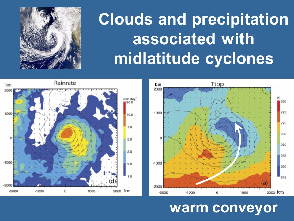 Clouds and precipitation associated with midlatitude cyclones warm conveyor