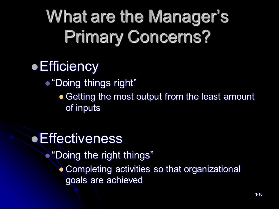 What are the Manager’s Primary Concerns.