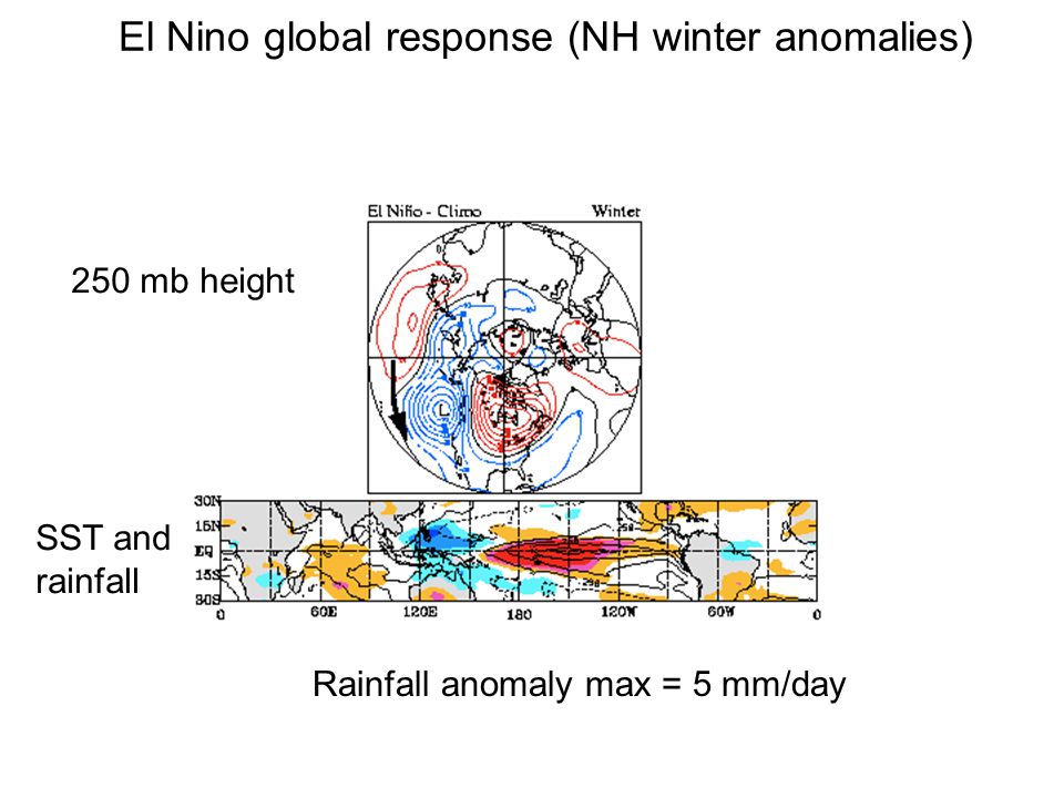 El Nino global response (NH winter anomalies) SST and rainfall 250 mb height Rainfall anomaly max = 5 mm/day