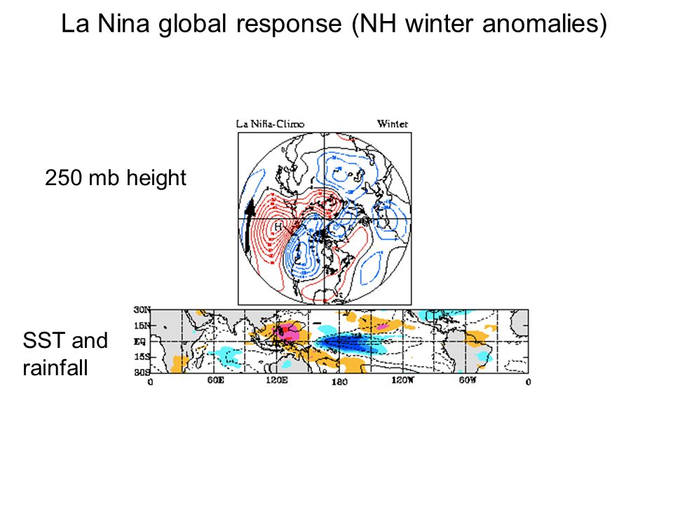 La Nina global response (NH winter anomalies) 250 mb height SST and rainfall