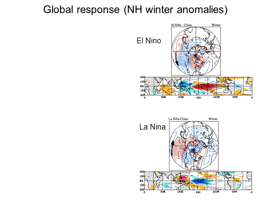 Global response (NH winter anomalies) El Nino La Nina