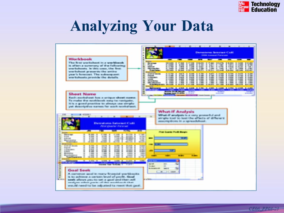CE06_PP03-23 Analyzing Your Data