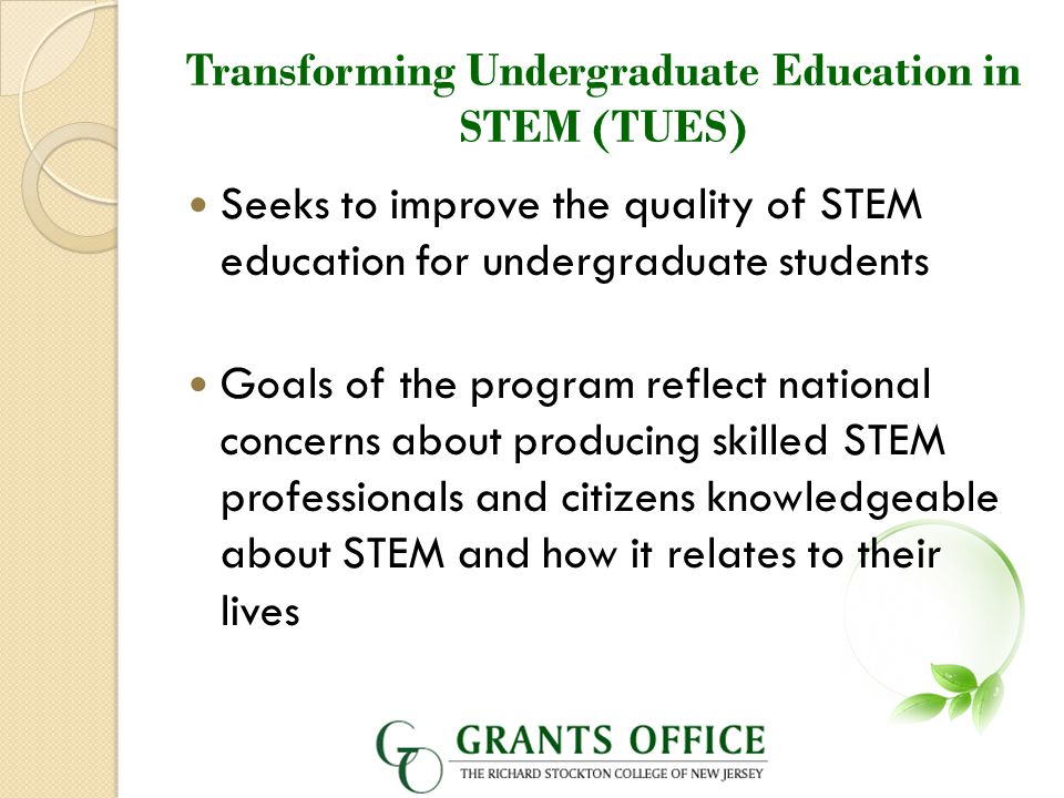 Transforming Undergraduate Education in STEM (TUES) Seeks to improve the quality of STEM education for undergraduate students Goals of the program reflect national concerns about producing skilled STEM professionals and citizens knowledgeable about STEM and how it relates to their lives