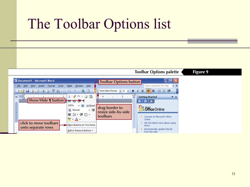 XP 13 The Toolbar Options list
