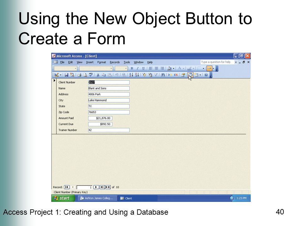 Access Project 1: Creating and Using a Database 40 Using the New Object Button to Create a Form