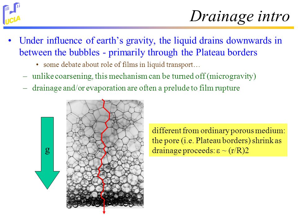 Drainage intro Under influence of earth’s gravity, the liquid drains downwards in between the bubbles - primarily through the Plateau borders some debate about role of films in liquid transport… –unlike coarsening, this mechanism can be turned off (microgravity) –drainage and/or evaporation are often a prelude to film rupture g different from ordinary porous medium: the pore (i.e.