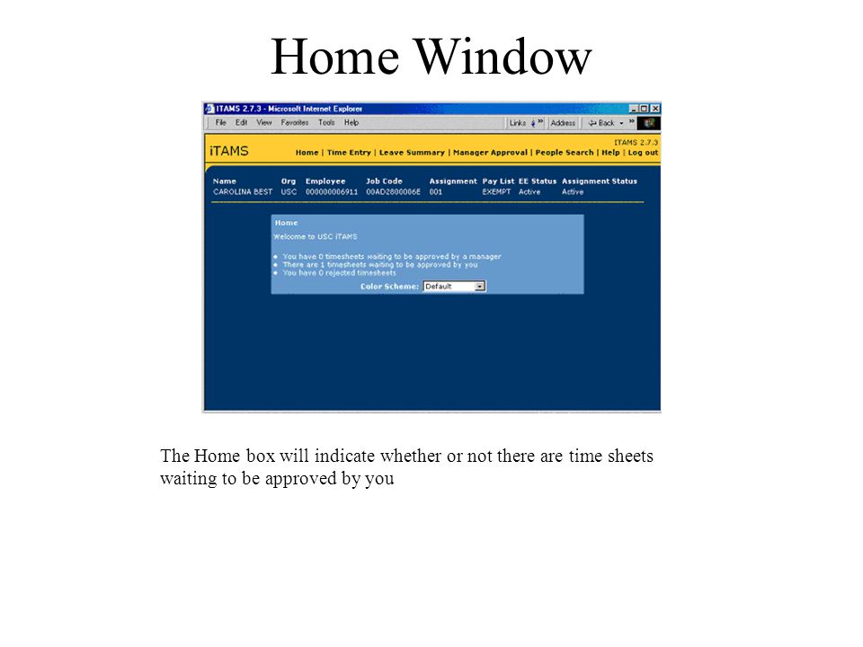 Home Window The Home box will indicate whether or not there are time sheets waiting to be approved by you
