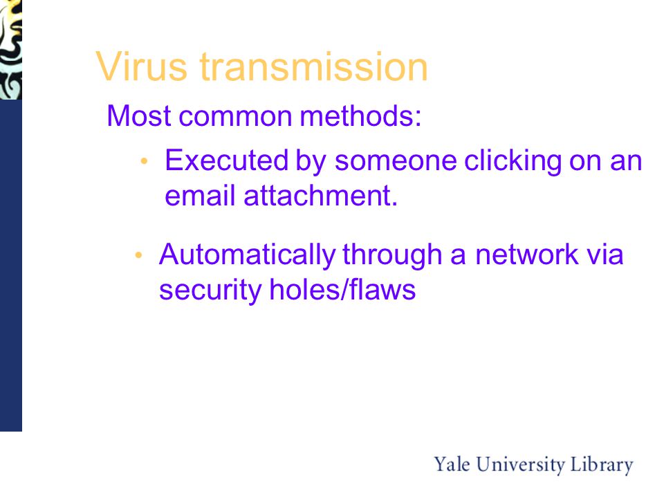 Virus transmission Most common methods: Executed by someone clicking on an  attachment.
