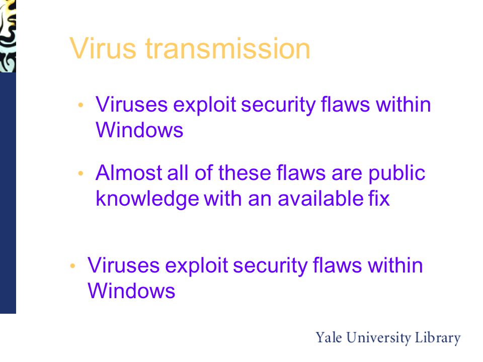 Virus transmission Viruses exploit security flaws within Windows Almost all of these flaws are public knowledge with an available fix Viruses exploit security flaws within Windows