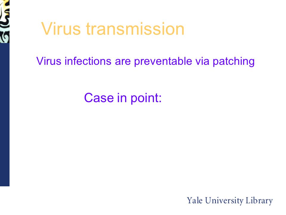 Virus transmission Virus infections are preventable via patching Case in point: