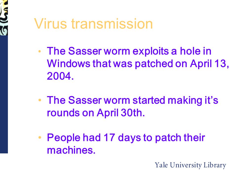Virus transmission The Sasser worm exploits a hole in Windows that was patched on April 13, 2004.