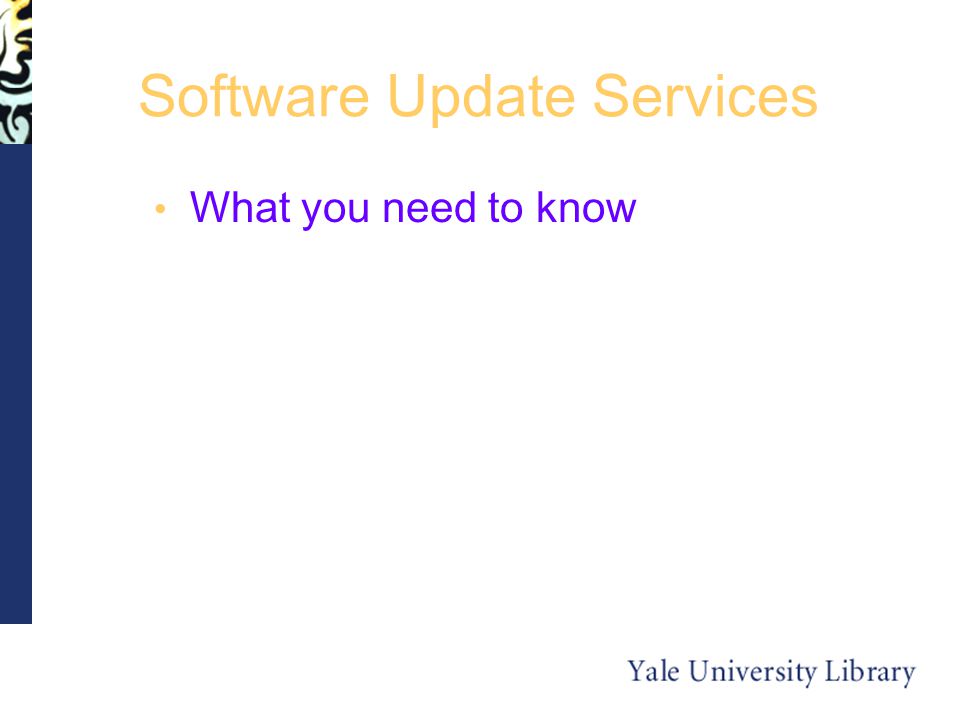 Software Update Services What you need to know