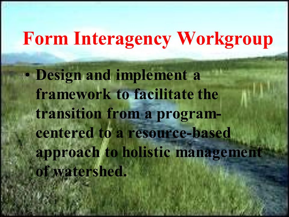 Form Interagency Workgroup Design and implement a framework to facilitate the transition from a program- centered to a resource-based approach to holistic management of watershed.