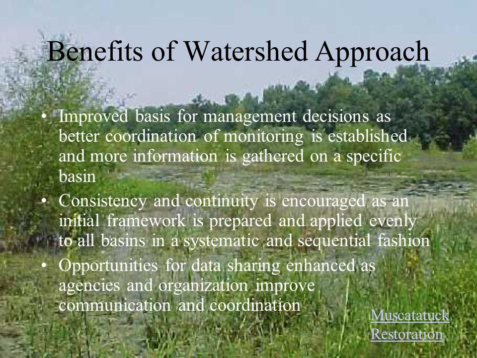 Benefits of Watershed Approach Improved basis for management decisions as better coordination of monitoring is established and more information is gathered on a specific basin Consistency and continuity is encouraged as an initial framework is prepared and applied evenly to all basins in a systematic and sequential fashion Opportunities for data sharing enhanced as agencies and organization improve communication and coordination Muscatatuck Restoration