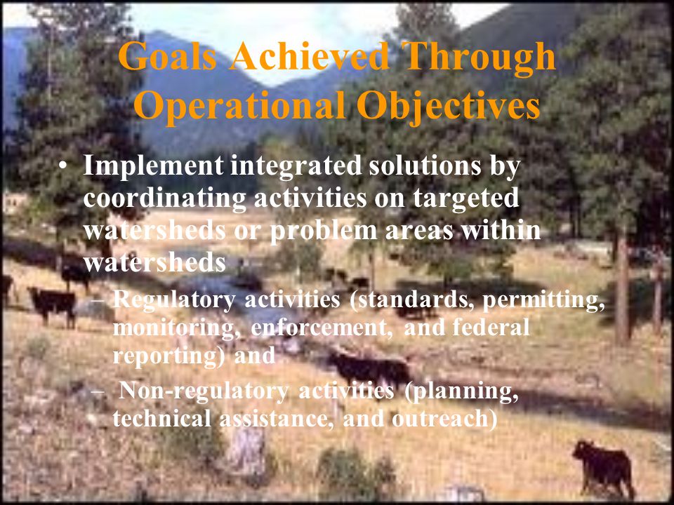 Goals Achieved Through Operational Objectives Implement integrated solutions by coordinating activities on targeted watersheds or problem areas within watersheds –Regulatory activities (standards, permitting, monitoring, enforcement, and federal reporting) and – Non-regulatory activities (planning, technical assistance, and outreach)