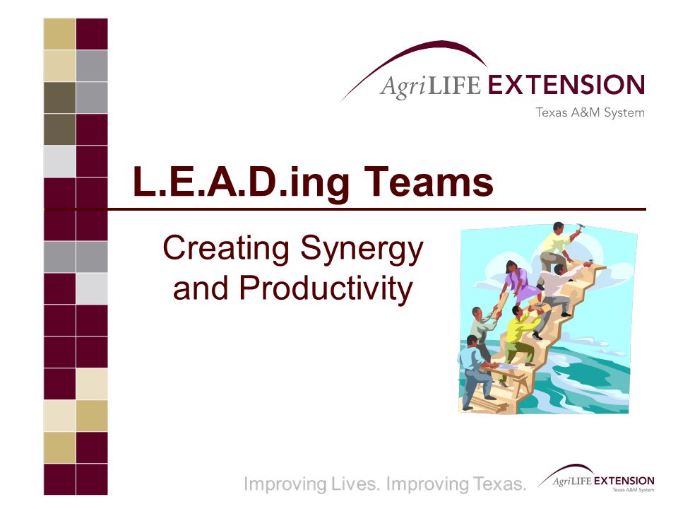 L.E.A.D.ing Teams Creating Synergy and Productivity