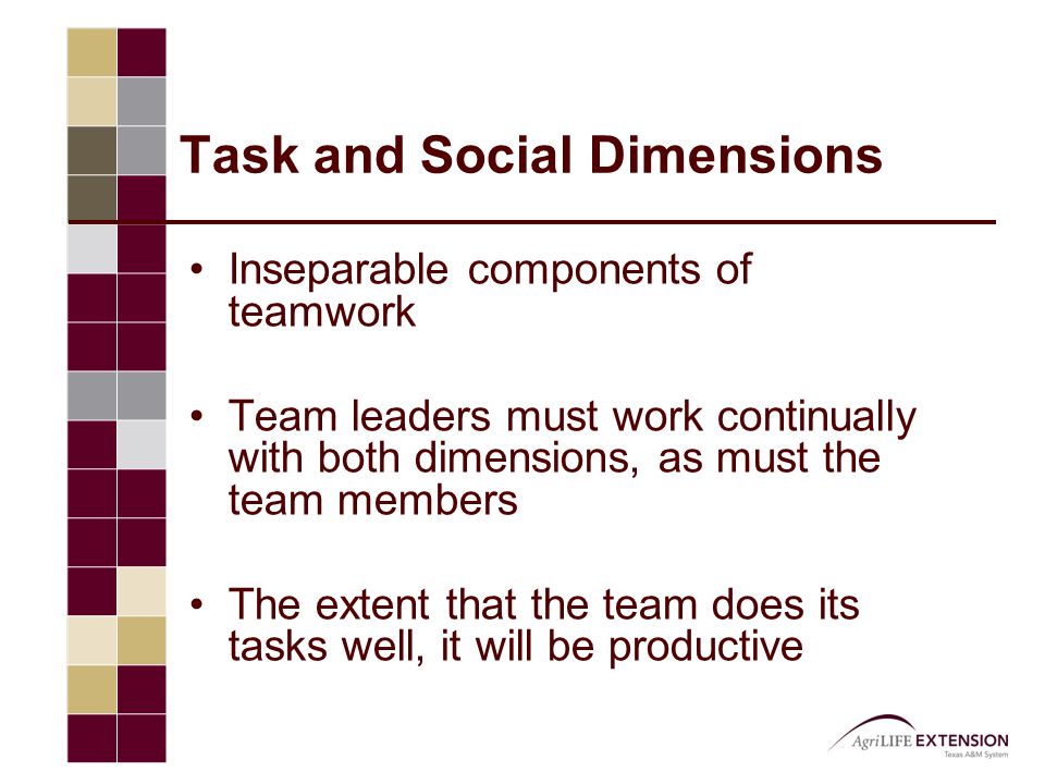 Task and Social Dimensions Inseparable components of teamwork Team leaders must work continually with both dimensions, as must the team members The extent that the team does its tasks well, it will be productive